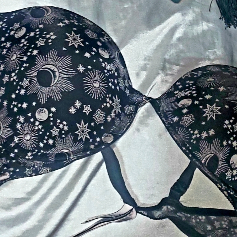 Victoria's Secret pushup bra